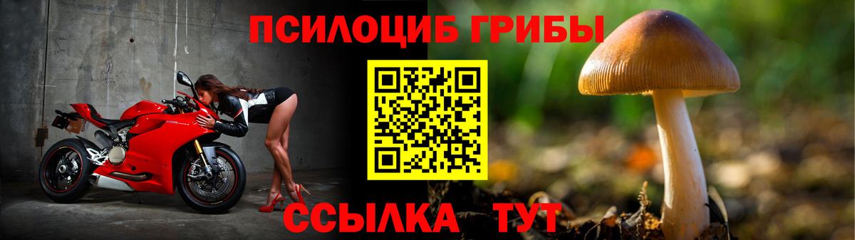 Псилоцибиновые грибы ЛСД  Вход с VPN  Гулькевичи  Галлюциногенные грибы ЛСД 
